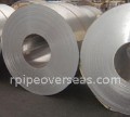 AISI Stainless Steel 202 Shim Exporter in India