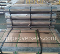ASTM A 240 TP 202 Stainless Steel Plate