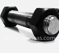 Hastelloy Bolts Manufacturer In India