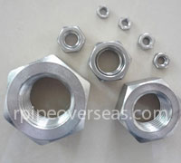 Stainless Steel 310S Nut Manufacturer In India