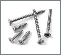 Duplex Steel UNS S31803 Screws