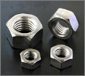 Stainless Steel 310L Hex Nuts